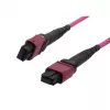 SYNERGY21 Fiber Optic Patch Cable OM4 Low Loss Elite 12 Fiber Type B Crossed MTP Female - Erika Violet - 0,5 m
