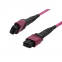 SYNERGY21 Fiber Optic Patch Cable OM4 Low Loss Elite 12 Fiber Type B Crossed MTP Female - Erika Violet - 0,5 m