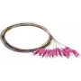Synergy 21 S215524 Šviesolaidinis Pigtail SC OM4 2m 12 vnt. Spalvotas