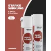 Teslanol Rūdžių šalinimo purškiklis 200 ml