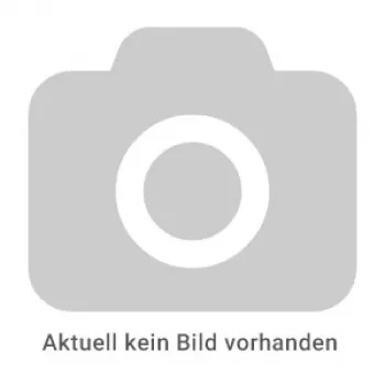 REINER Paginierstempel Modell B6 – automatinė numeravimo mašinėlė, 6 skaitmenys, 4,5 mm, juoda