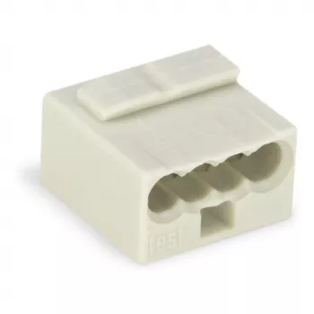 WAGO 243-304 PUSH WIRE® 2-jungčių laidų jungtis 100V 24A permatoma