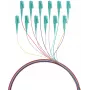 EFB Elektronik Fibre Pigtail LC 50/125 OM3 12-Colour Set 2m - Kabelių/Adapterių Rinkinys - Daugiamodis