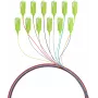 EFB Electronics Fibre Pigtail SC 50/125 OM5 12-Colour Set 2m - Cable/Adapter Set - Single or Monomode