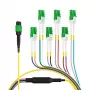 EFB Elektronik MTPF12LCAPC-5 - 5 m - OS2 - MTP - 12x LC Fiber Optic Breakout Cable