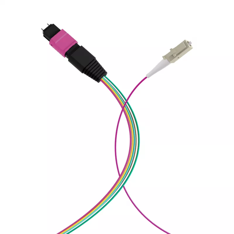 EFB ELEKTRONIK MPO-PLUS(M)-LC Fanout Cable OM4 12 Fibers Type B LSZH Heather Violet 0,4m