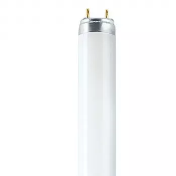 OSRAM L T8 36W/840 G13 fluorescencinė lempa 1200mm 4000K šalta balta