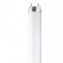 OSRAM L T8 36W/840 G13 fluorescencinė lempa 1200mm 4000K šalta balta