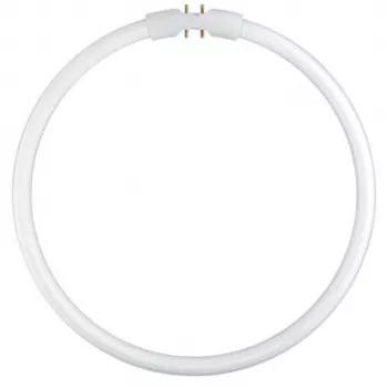 Osram apvali fluorescencinė lempa T5 FC22W 840 2GX13