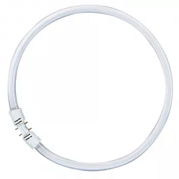 OSRAM LUMILUX T5 FC apvali liuminescencinė lempa 55W 865 dienos šviesa 2GX13