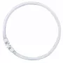 OSRAM LUMILUX T5 FC apvali liuminescencinė lempa 55W 865 dienos šviesa 2GX13