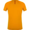 SALEWA Wild Country Session 2 T-Shirt - Nectar - Size L