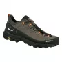 SALEWA Alp Trainer 2 GTX žygio batai - Bungee Cord/Juoda - UK 9.5 (EU 44)