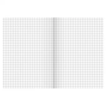 BRUNNEN FACT!plus Notebook A6 Squared 96 Sheets Brown