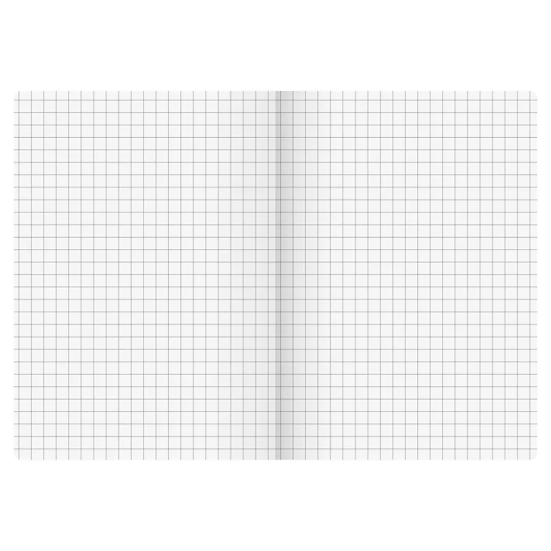 BRUNNEN FACT!plus Notebook A6 Squared 96 Sheets Brown