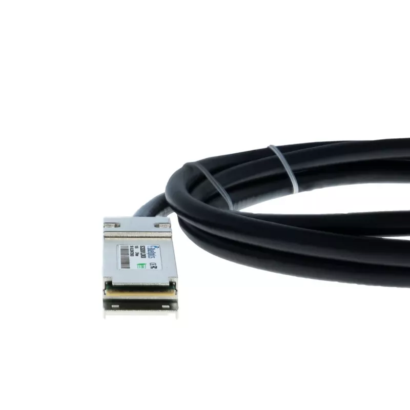 BlueOptics E100G-QSFP-QSFP-P-0301 suderinamas BlueLAN DAC QSFP28 3m pasyvus varinis Twinax kabelis