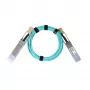 BlueOptics Synology QSFP-100G-AOC-1M suderinamas QSFP28 aktyvusis optinis kabelis, 1 m (BO282803L1M)