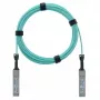 BlueOptics AOC SFP28 Active Optical Cable 3m Compatible with Ruckus E25G-SFP28-AOC-0301