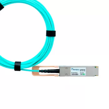 Ruckus QSFP28-100G-AOC-5M suderinamas BlueOptics AOC QSFP28 BO282803L5M