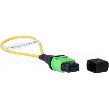 BlueOptics Loopback Adapter MPO/MTP Singlemode SM 9/125µm APC Ceramic Ferrule