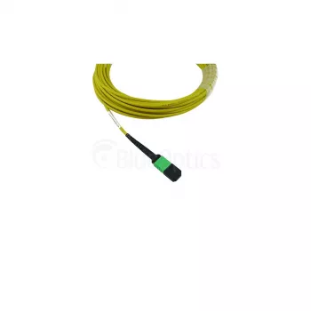 BlueOptics Cisco CB-M12-M12-SMF1M MPO-12 Moteriškas prie MPO-12 Moteriškas OS2 Vienmodis Skaidulinis Laidas, 1m, LSZH, Geltonas