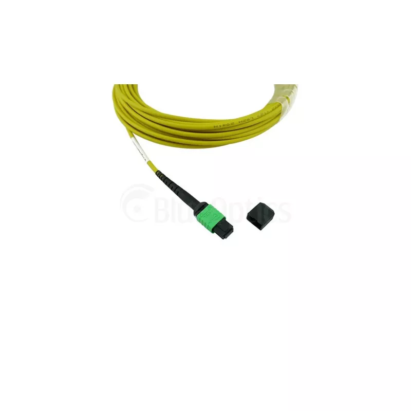 BlueOptics Cisco CB-M12-M12-SMF2M MPO-MPO vienmodis G.657.A1 jungiamasis kabelis, 2 m