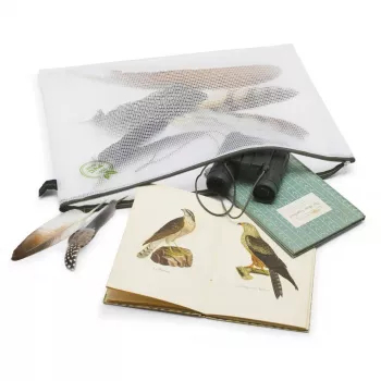 Foldersys Zipper Pouch B4 Transparent