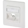 METZ CONNECT Keystone 1-Port Flush-Mount Wall Outlet Pure White (RAL 9010) 130B20D11002KE
