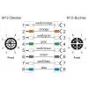 METZ CONNECT 142M2X12020 - 2 m - Cat6a - M12 - M12 - Žalias