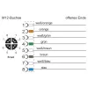 METZ CONNECT Pramoninis Ethernet kabelis - 8 kontaktų M12 (S) - D-koduotas - 10 m - Žalias