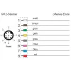 METZ CONNECT Pramoninis Ethernet kabelis M12 D-coded 8 kontaktų vyriškas į M12 D-coded 8 kontaktų vyriškas, Cat5e, PUR, Žalias, 5 m