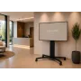 celexon Expert Adjust-4286MB Mobilus Ekrano Stovas 42 inch-86 inch Ekranams, Anoduotas Aliuminis, Juodas (RAL 9005)
