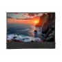 Celexon Inflatable Outdoor Screen Economy INF 120, 120 inch 16:9, Visible Area 266x149 cm, Manual Air Pump Included