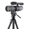 Vanguard Alta Pro 3VL 264CV14 anglies pluošto vaizdo trikojis su PH-14 pan galva