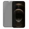 Evelatus Apple iPhone 12/12 Pro 6.1 inch Privacy 2.5D Silk Full Cover Japan Glue Anti-Static Screen Protector