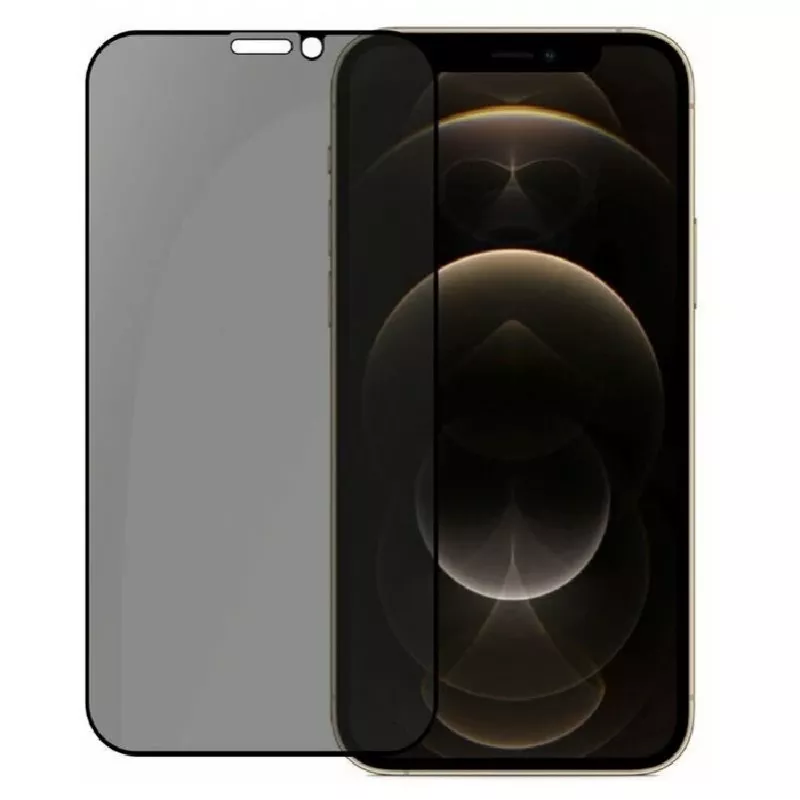 Evelatus Apple iPhone 12/12 Pro 6.1 inch Privacy 2.5D Silk Full Cover Japan Glue Anti-Static Screen Protector