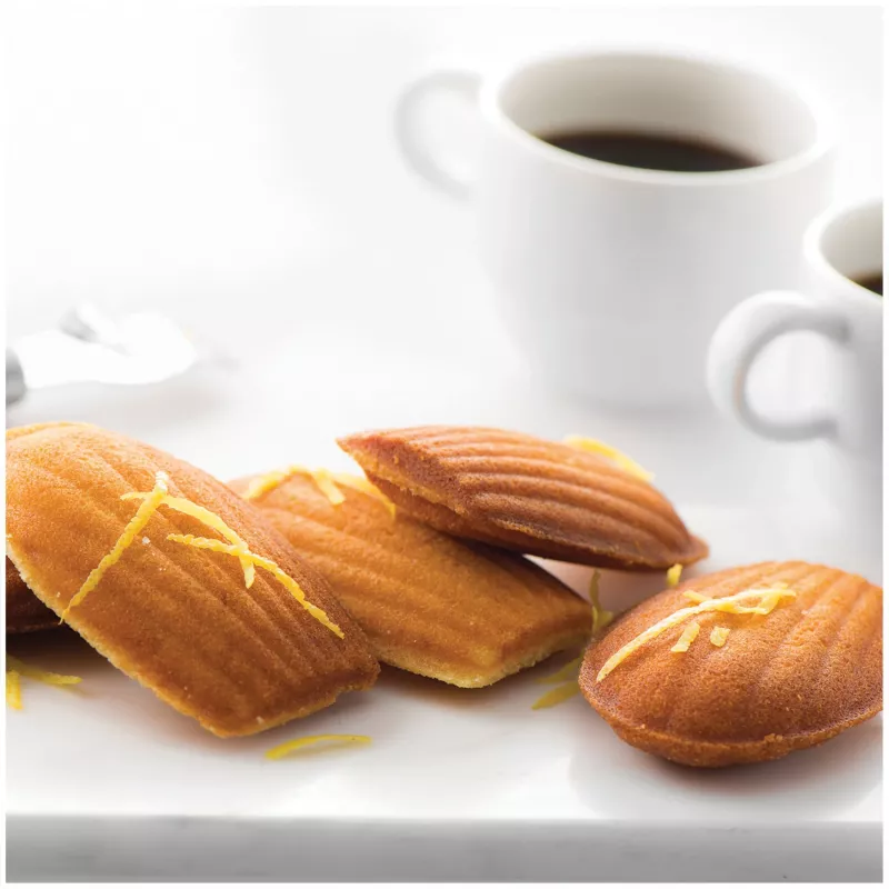 Fritel Waffle Iron Plate for Madeleines