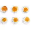 FRITEL Family Egg Cooker 400W Black/Transparent