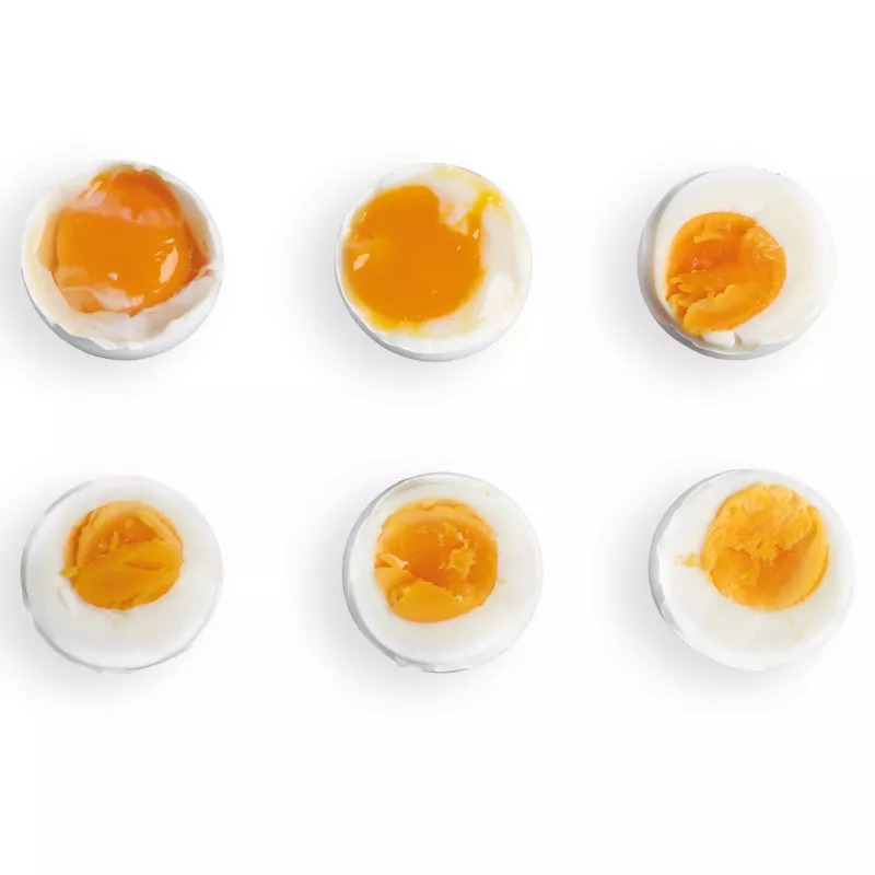 FRITEL Family Egg Cooker 400W Black/Transparent