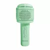 Denver KMS-30 Green Karaoke Microphone with Bluetooth Speaker