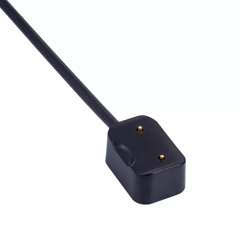 Akyga AK-SW-30 magnetinis įkrovimo kabelis Amazfit Cor A1702, USB-A, 1 m, juodas