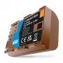 Newell Replacement Battery LP-E6P su USB-C, skirta Canon
