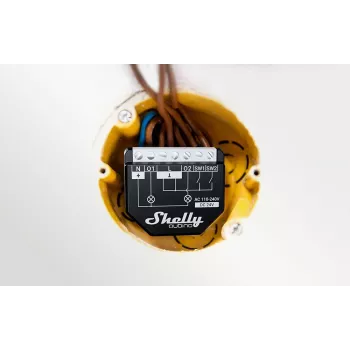 Shelly Wave 2PM EU LR Z-Wave Smart Light Switch 2-Channel Power Metering