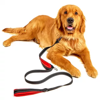 MOZOS DL5M Premium Training Leash 5m Juoda