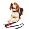 MOZOS DL5M Premium Training Leash 5m Juoda
