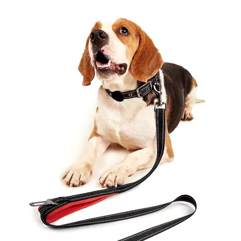 MOZOS DL5M Premium Training Leash 5m Juoda