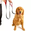 MOZOS DL5M Premium Training Leash 5m Juoda