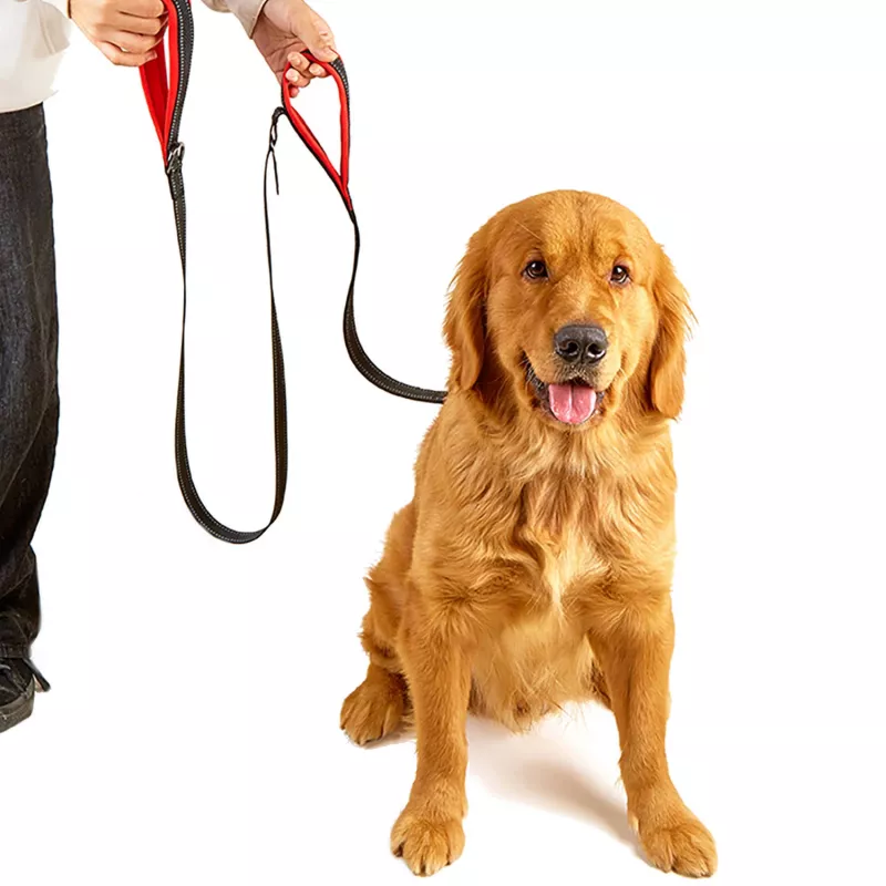 MOZOS DL5M Premium Training Leash 5m Juoda