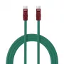 Newell USB-C į USB-C laidas 100W 2m Silikoninis Žalia-Burgundiška