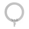 Newell LED žiedinė šviesa RL-18A - WB (3200 K - 5500 K) - Arktinė balta